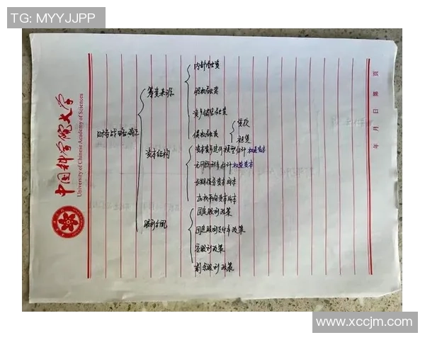 北京网球队运营分析：成功经验与面临挑战的深度探讨