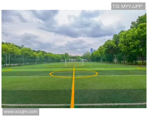 奥体足球场地周边设施与活动探秘提升运动体验的最佳选择 奥体足球场地周边设施与活动探秘提升运动体验的最佳选择